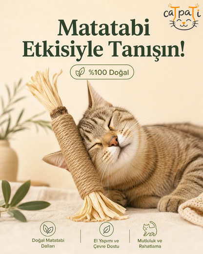 CaTpaTi Diş Çubuğu®