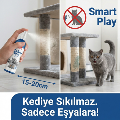 Catnip Kedi Oyun Spreyi