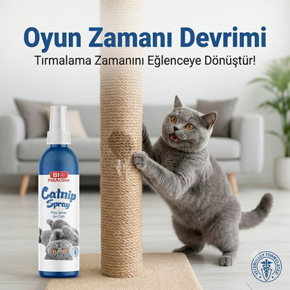 Catnip Kedi Oyun Spreyi