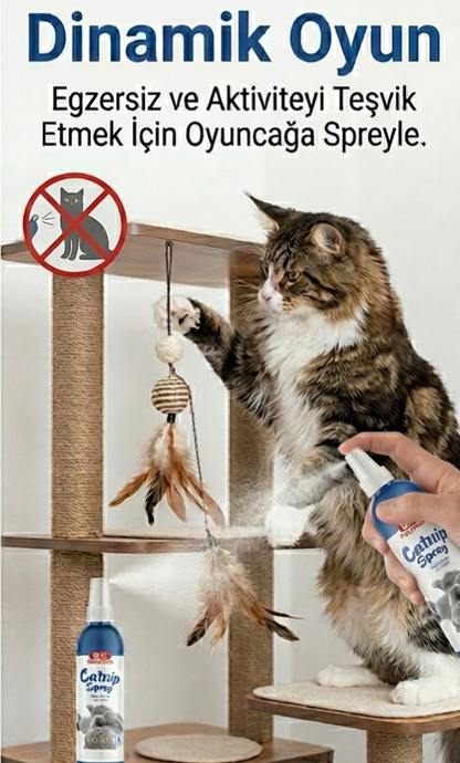 Catnip Kedi Oyun Spreyi