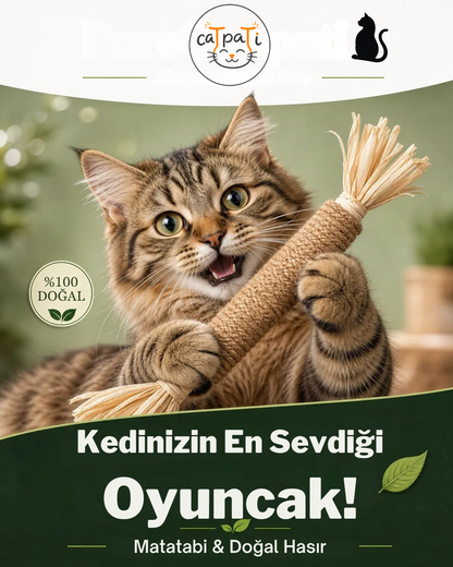 CaTpaTi Diş Çubuğu®