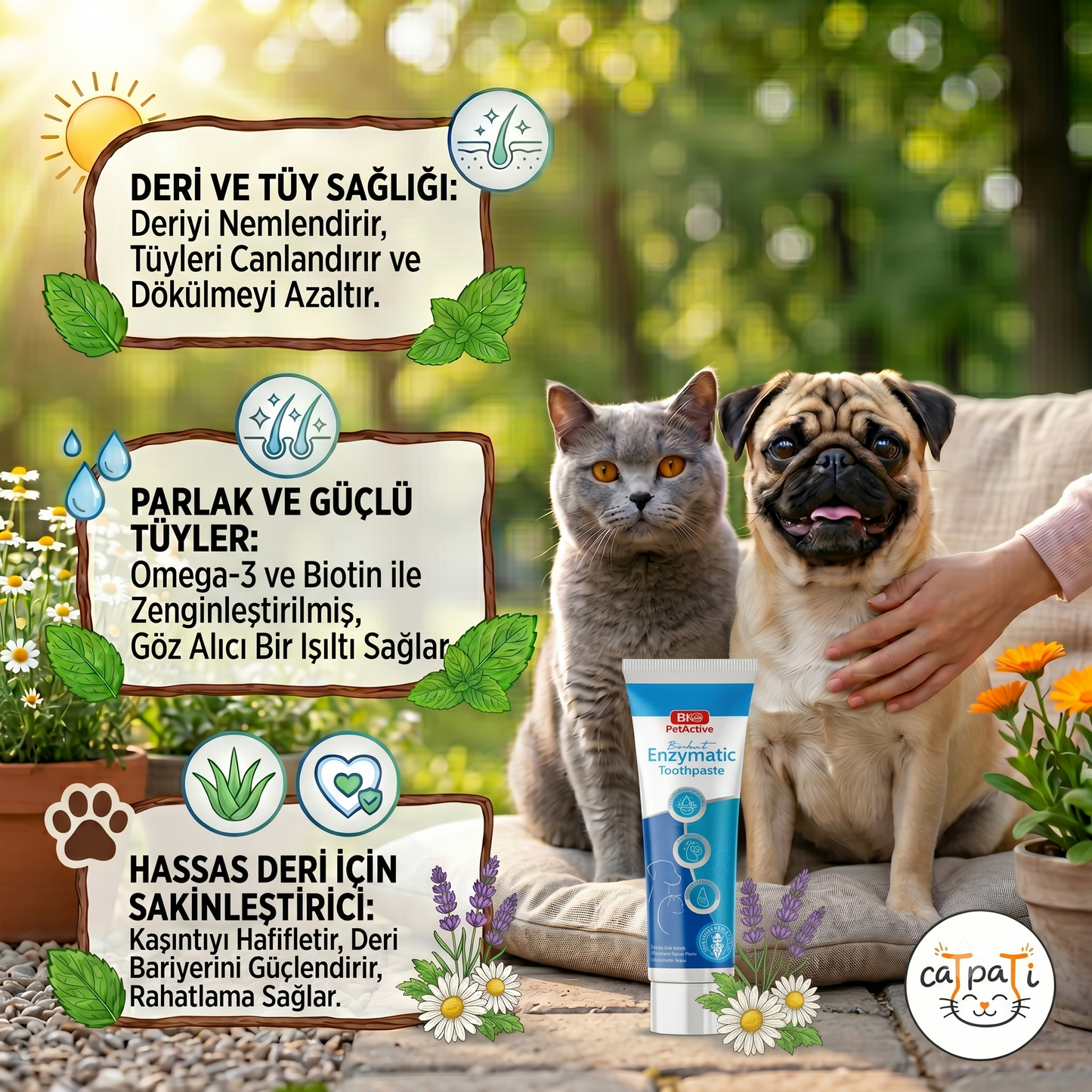 Diş Macunu