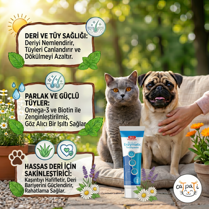 Diş Macunu